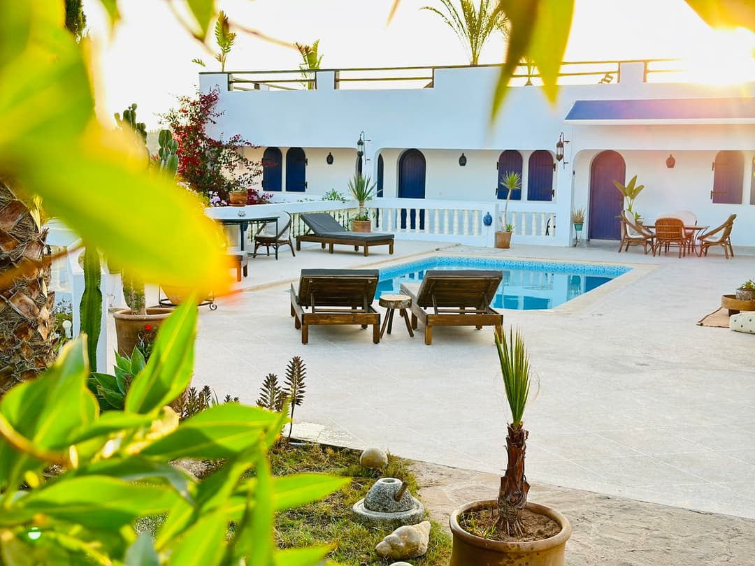 petitIguaneIfradenTitle